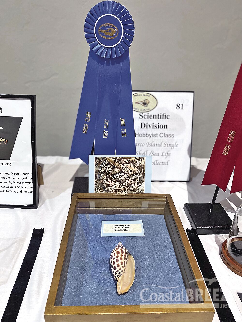 Shell Show_9
